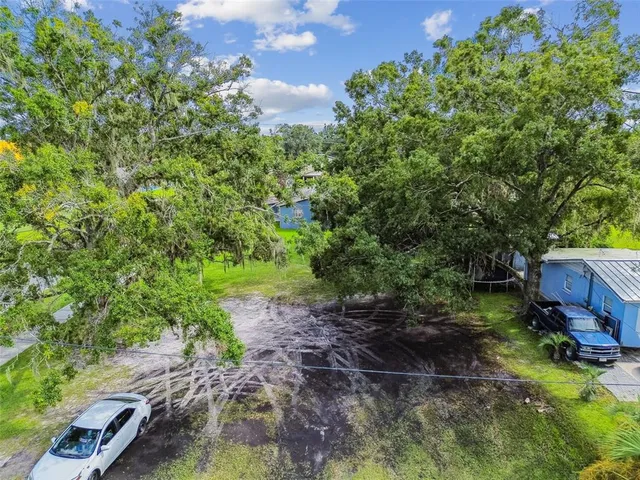 a view of a backyard with plants
