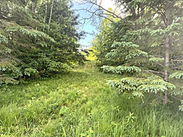 23506 Bazanis Road Cohasset, MN 55721 - Photo 9 of 15