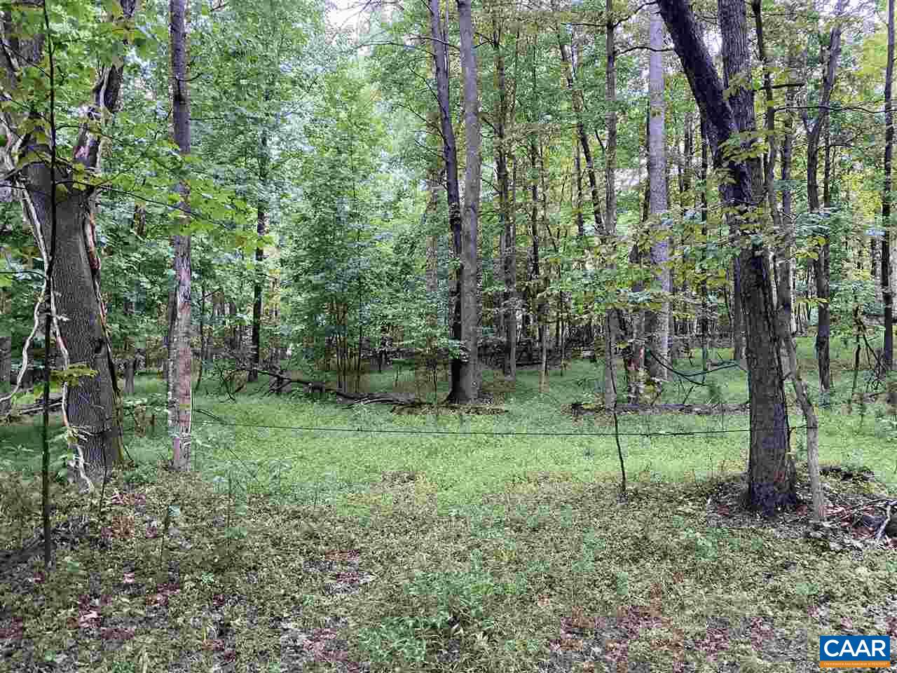 Batesville Road Afton, VA 22920 - Photo 3 of 10 Gallery Image 3