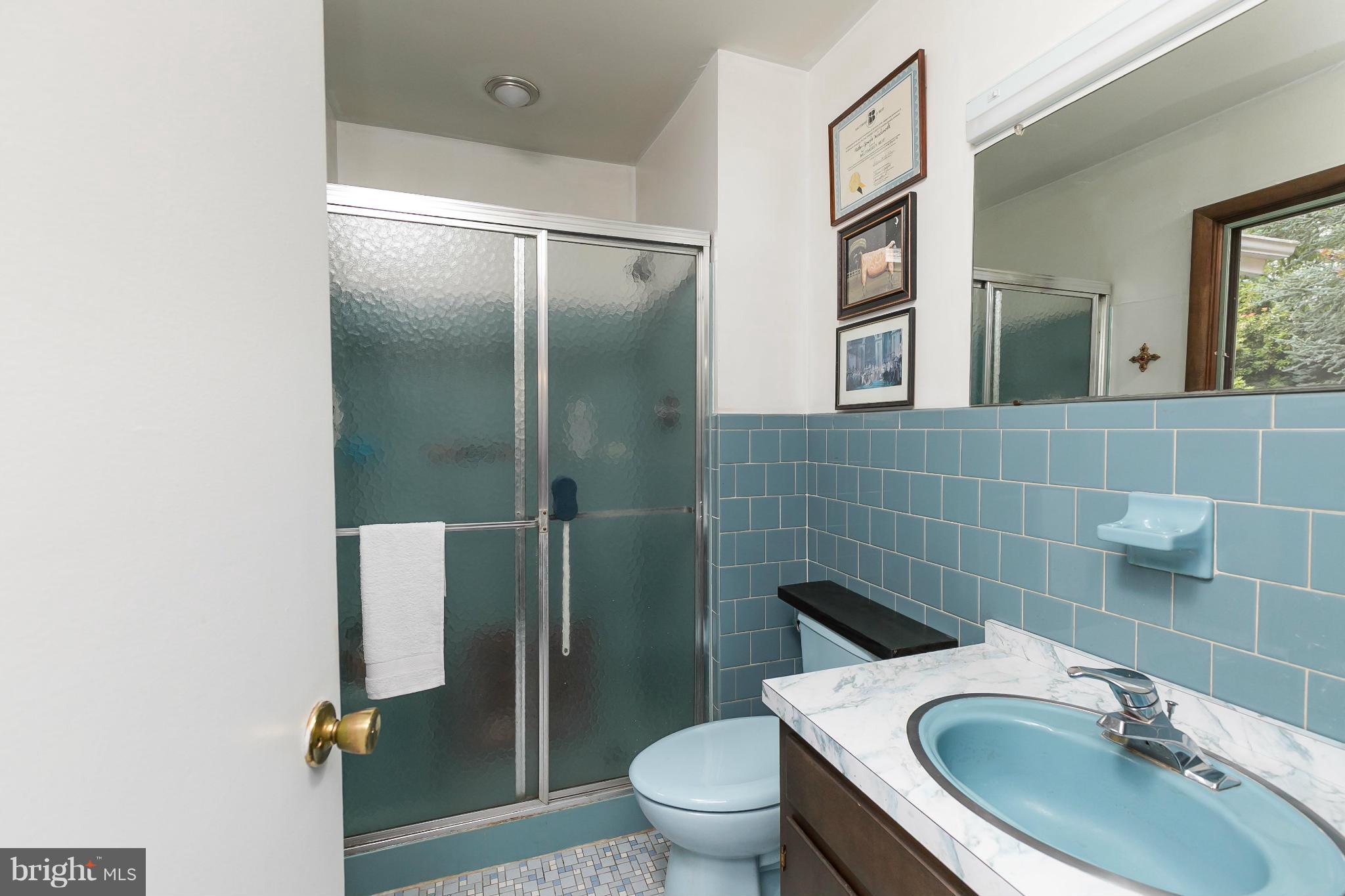 16745 Wesley Chapel Road Monkton, MD 21111 - Photo 18 of 30 Bath (Master)