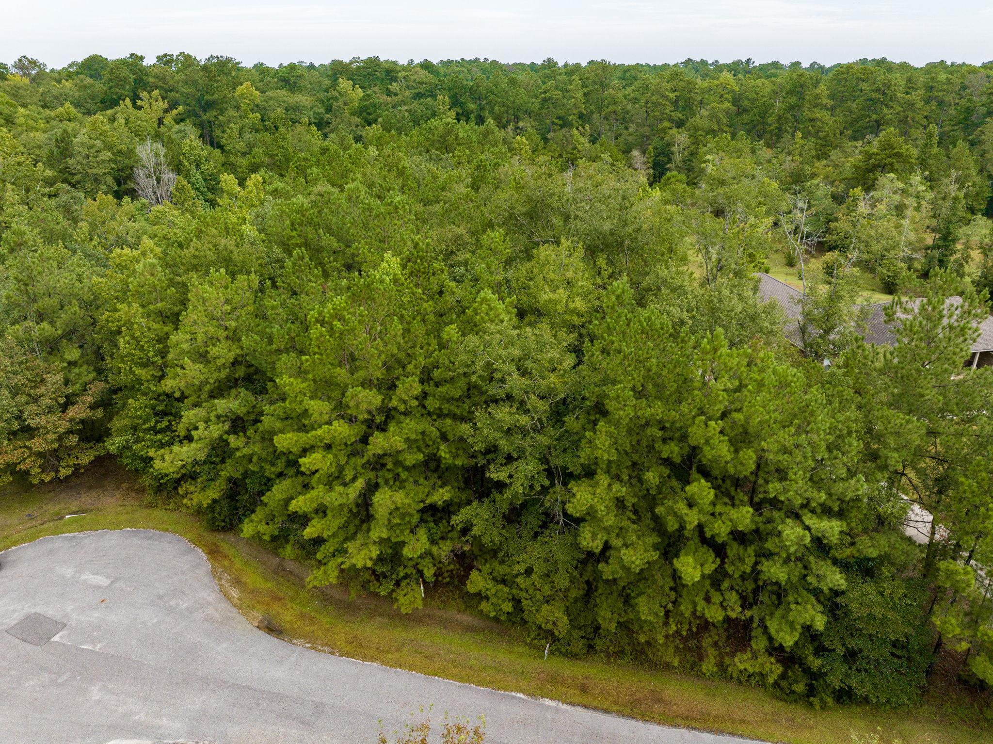 0 Marlin Street Stockton, AL 36579 - Photo 9 of 11