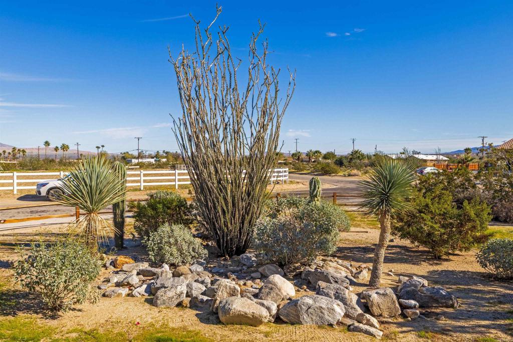 3486 Swinging V Road Borrego Springs, CA 92004 - Photo 34 of 41 a view of a yard with an ocean view