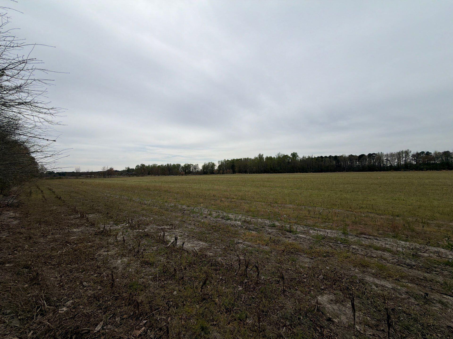 1 Judson Road, Unit MTA 1 Dillon, SC 29536 - Photo 26 of 28