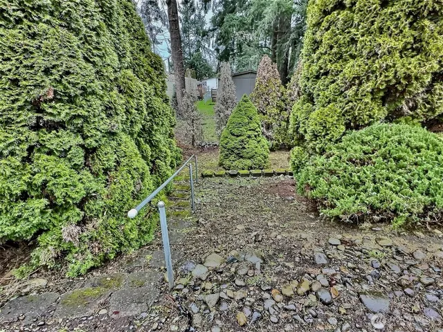 a view of a garden with plants and large trees
