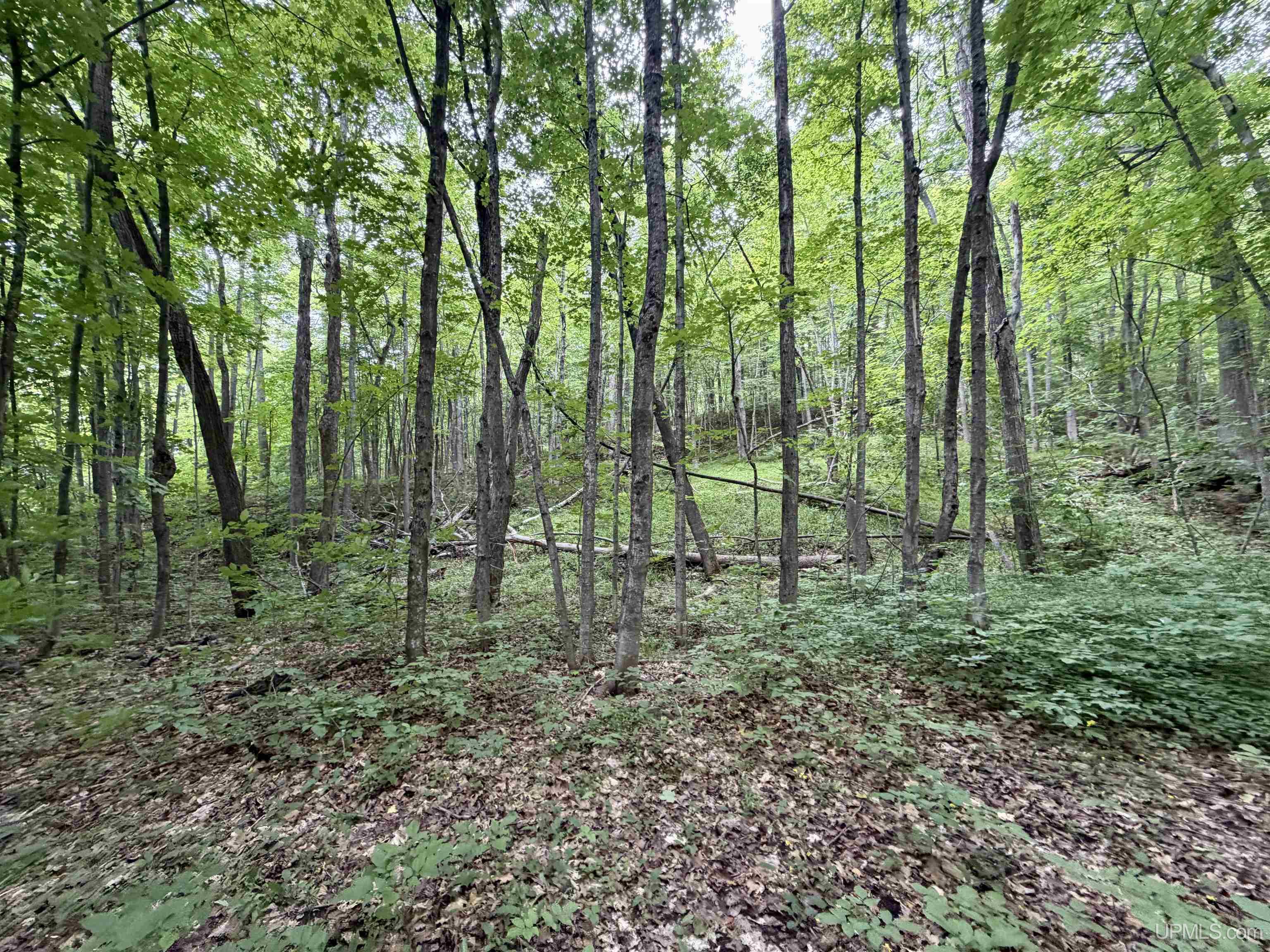 21342 Royce Road Hancock, MI 49930 - Photo 75 of 94