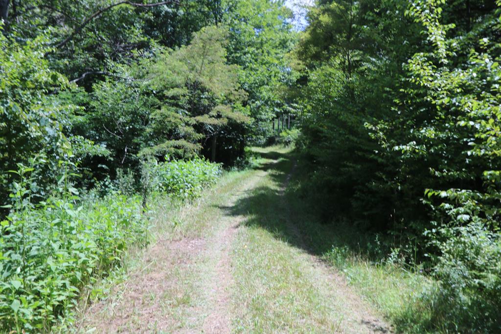 Tbd Southwest Tbd Sw Black Ridge Road Floyd, VA 24091 - Photo 1 of 22 Gallery Image 1