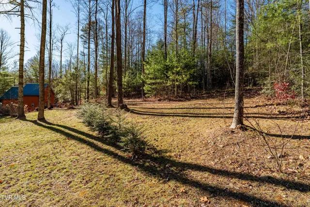 $385,000 | 1769 Dennis Cove Road, Hampton, TN 37658