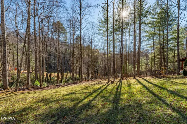 $385,000 | 1769 Dennis Cove Road, Hampton, TN 37658