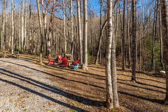 $385,000 | 1769 Dennis Cove Road, Hampton, TN 37658