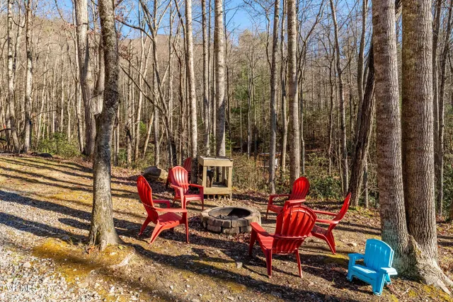 $385,000 | 1769 Dennis Cove Road, Hampton, TN 37658