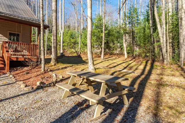 $385,000 | 1769 Dennis Cove Road, Hampton, TN 37658