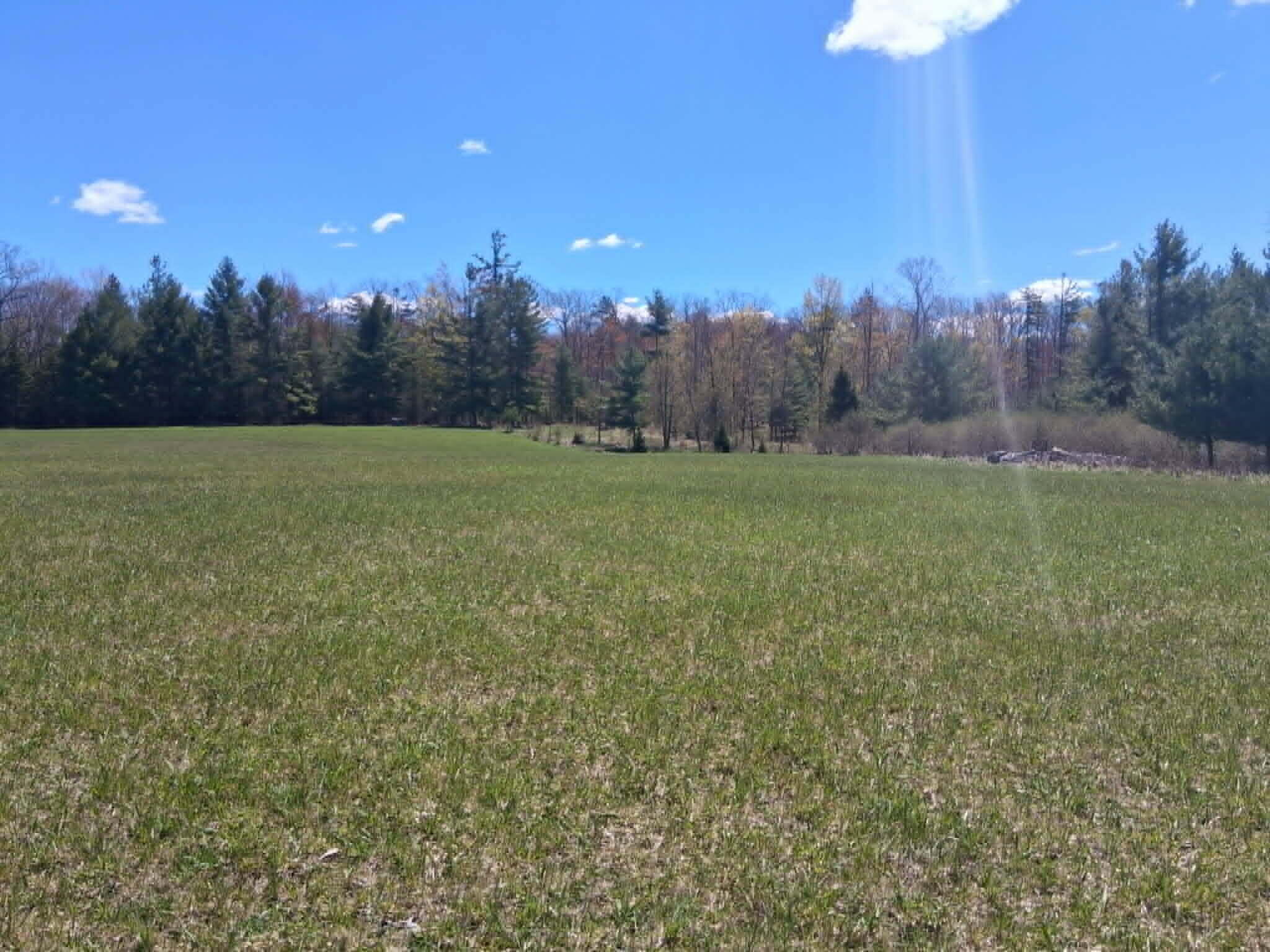 26.21-ac Crowell Road Curran, MI 48728 - Photo 1 of 12 pl21e