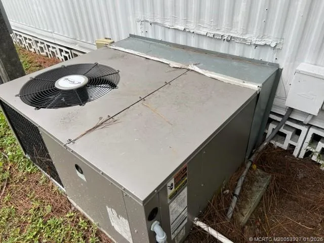 a view of a yard with plants and trees