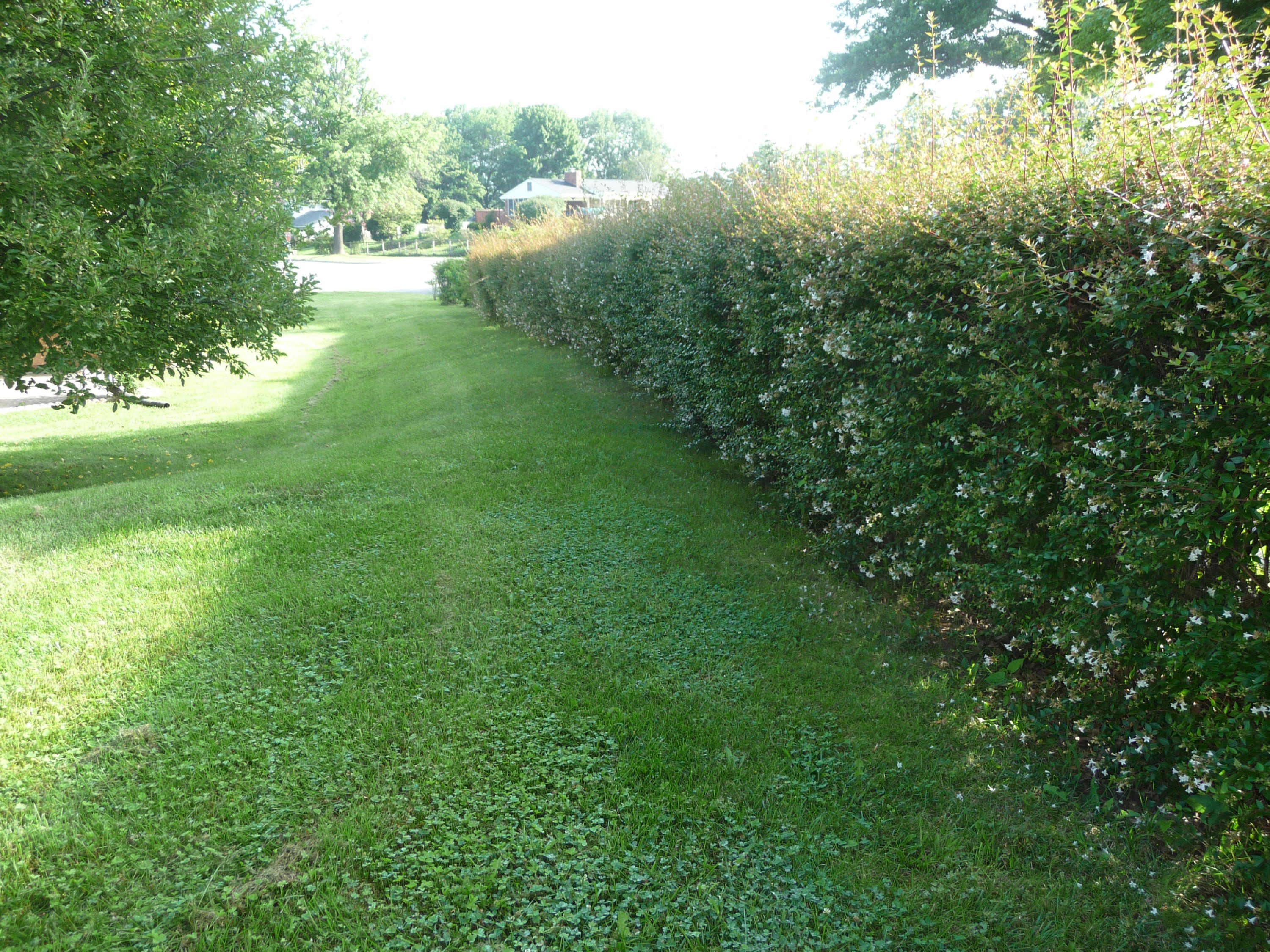 3123 Northside Road Roanoke, VA 24019 - Photo 58 of 77 P1140451