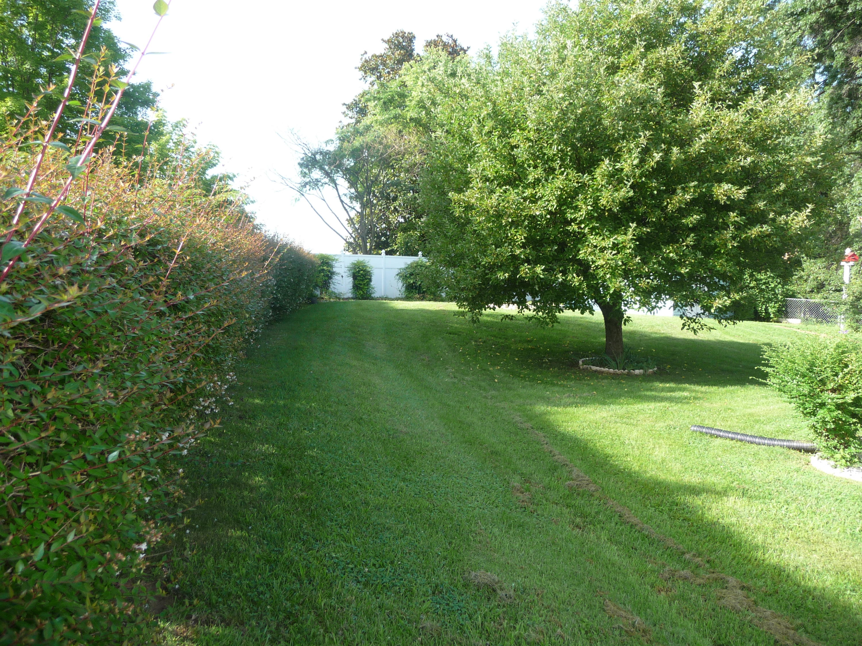 3123 Northside Road Roanoke, VA 24019 - Photo 61 of 77 P1140454