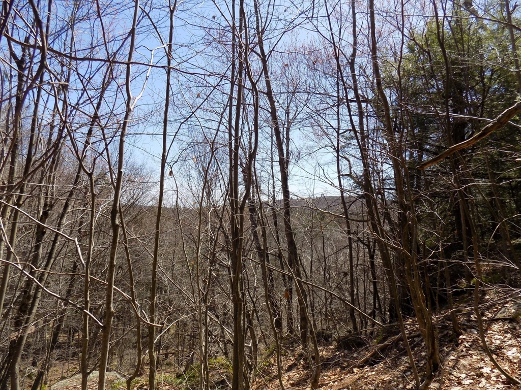 Lot 7 Skyline Ridge Road Becket, MA 01223 - Photo 13 of 14