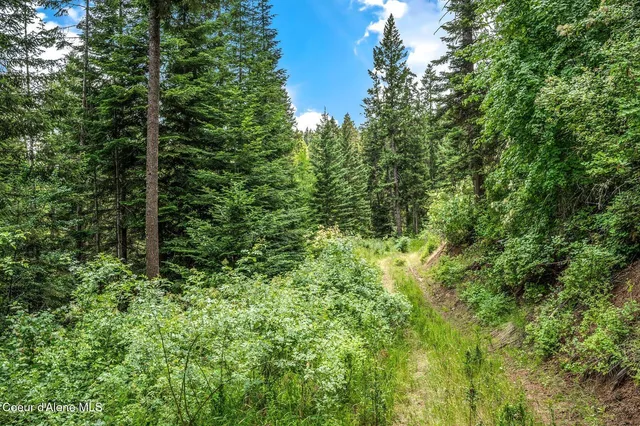 $270,000 | Nka South Bella Vista Road, Worley, ID 83876