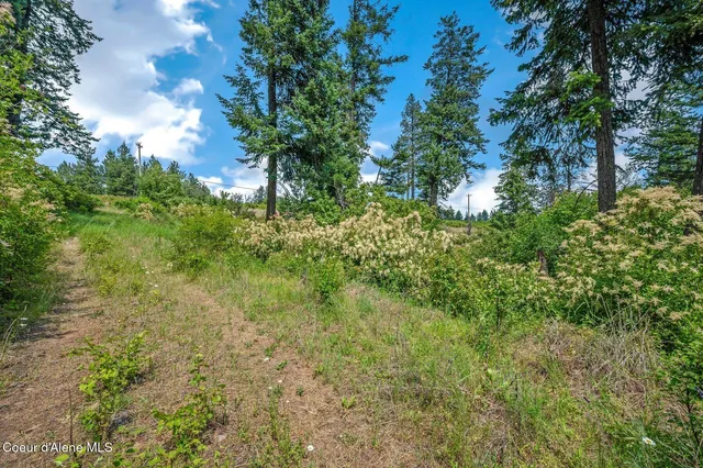 $270,000 | Nka South Bella Vista Road, Worley, ID 83876
