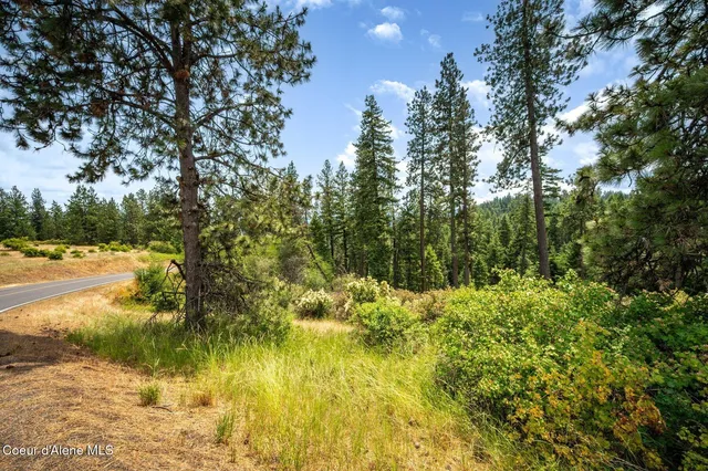 $270,000 | Nka South Bella Vista Road, Worley, ID 83876