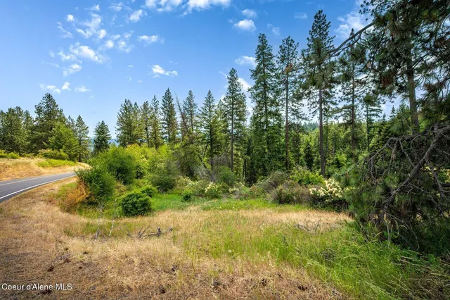 $270,000 | Nka South Bella Vista Road, Worley, ID 83876