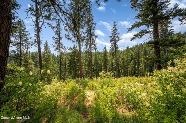 $270,000 | Nka South Bella Vista Road, Worley, ID 83876