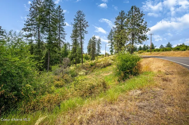 $270,000 | Nka South Bella Vista Road, Worley, ID 83876