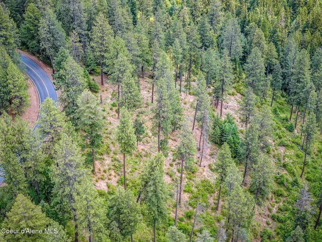 $270,000 | Nka South Bella Vista Road, Worley, ID 83876