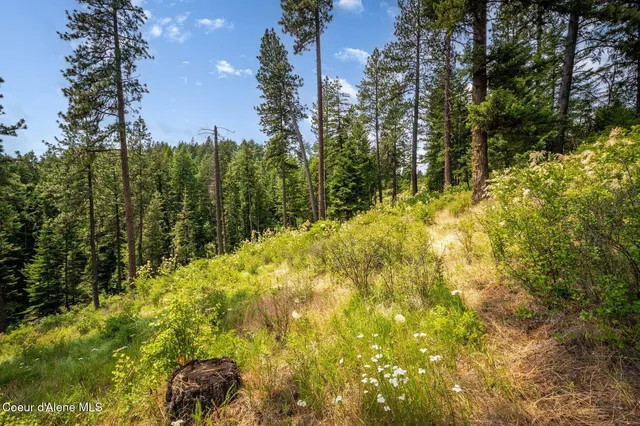 $270,000 | Nka South Bella Vista Road, Worley, ID 83876