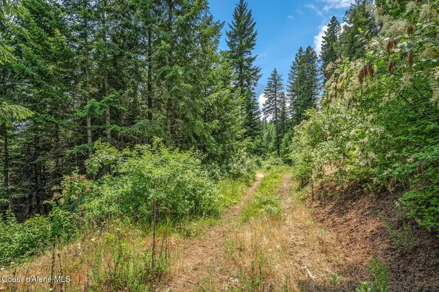 $270,000 | Nka South Bella Vista Road, Worley, ID 83876