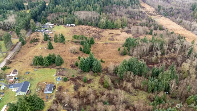 a view of a yard with plants
