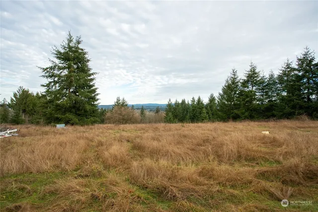 a view of an outdoor space and a yard