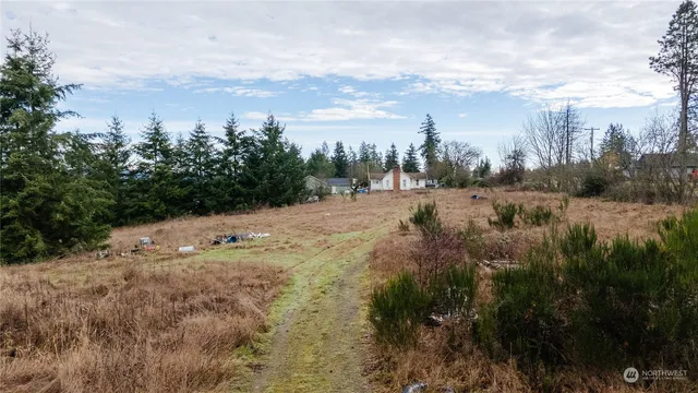 a view of a dry yard with trees