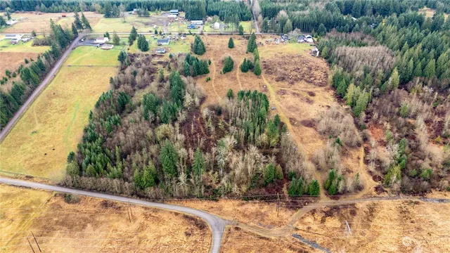 a view of a yard with plants