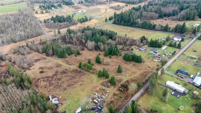a view of a yard with plants