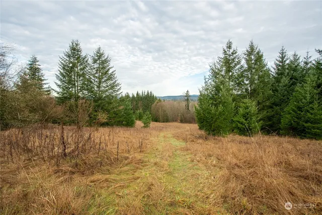 a view of a lake view