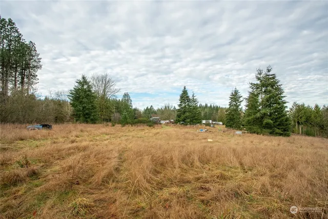 a view of a yard with a tree