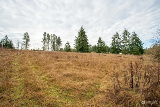 a view of a field with trees in the background