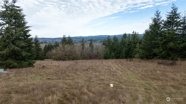 a view of a dry yard with trees in the background
