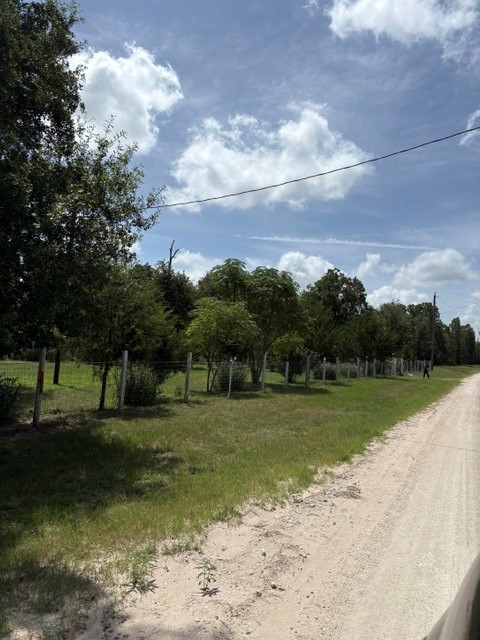 25660 Cemetery Road Bedias, TX 77831 - Photo 2 of 12 Gallery Image 2