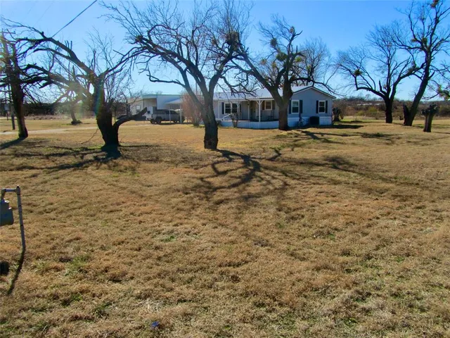a view of large yard with a tree
