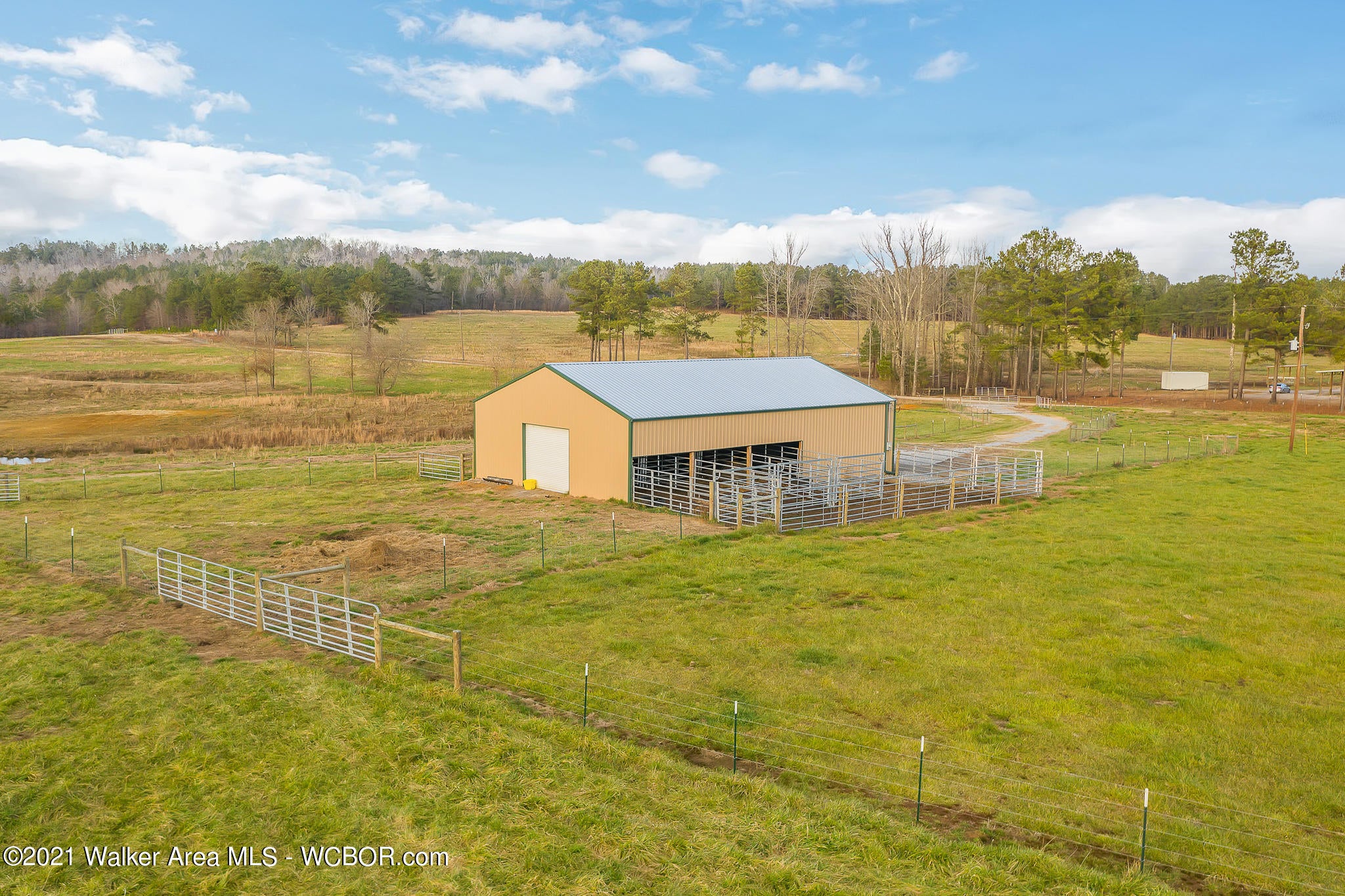 113 County Road Double Springs, AL 35553 - Photo 35 of 37 Gallery Image 35