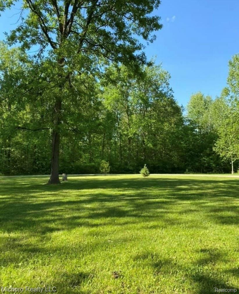 105 South Engle Road Imlay City, MI 48444 - Photo 49 of 55 IMG_4228.JPG