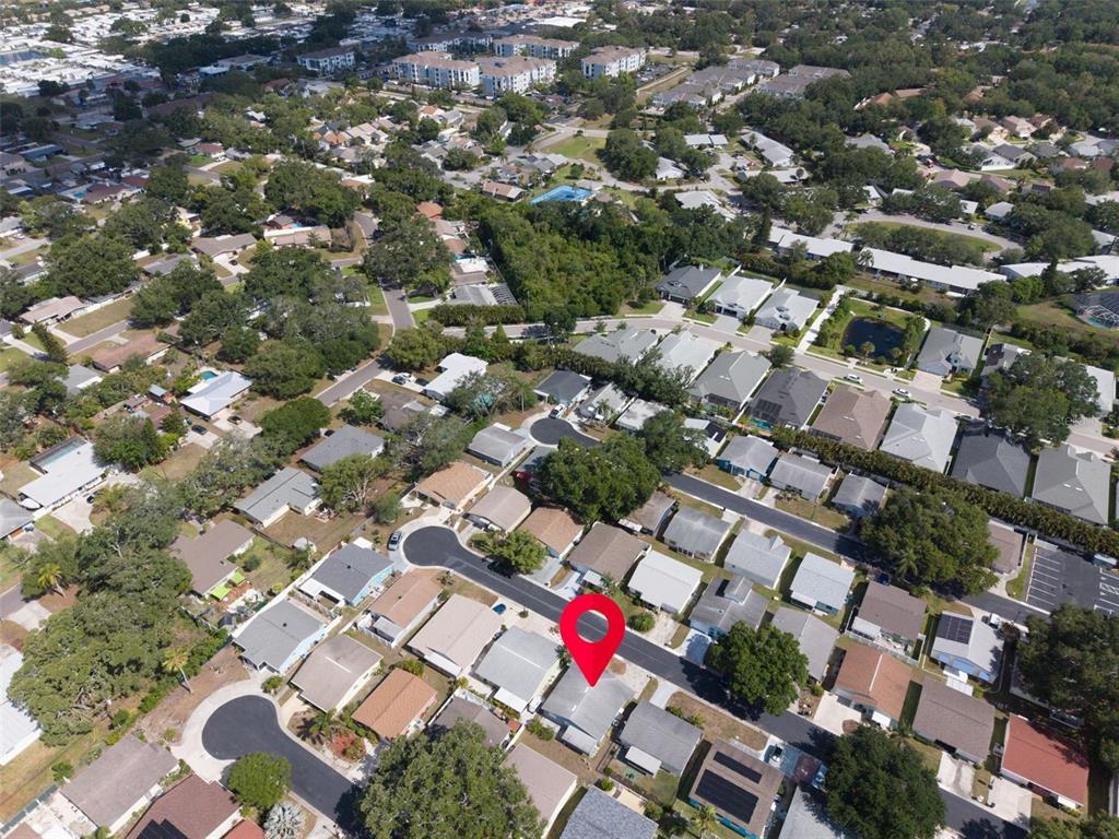 1009 Crane Court Dunedin, FL 34698 - Photo 53 of 63