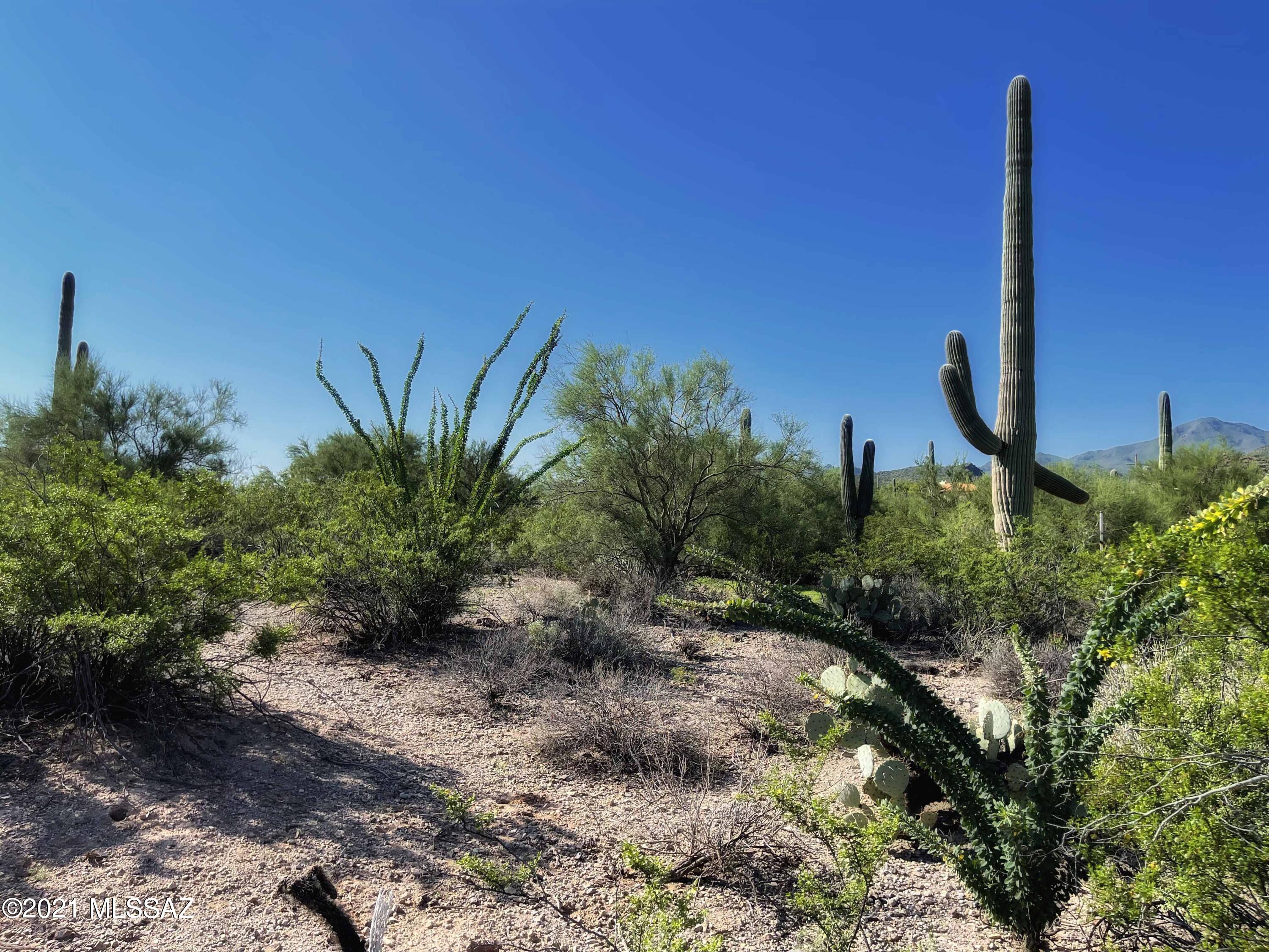 7089 West Ina Road Tucson, AZ 85743 - Photo 8 of 12 Gallery Image 8