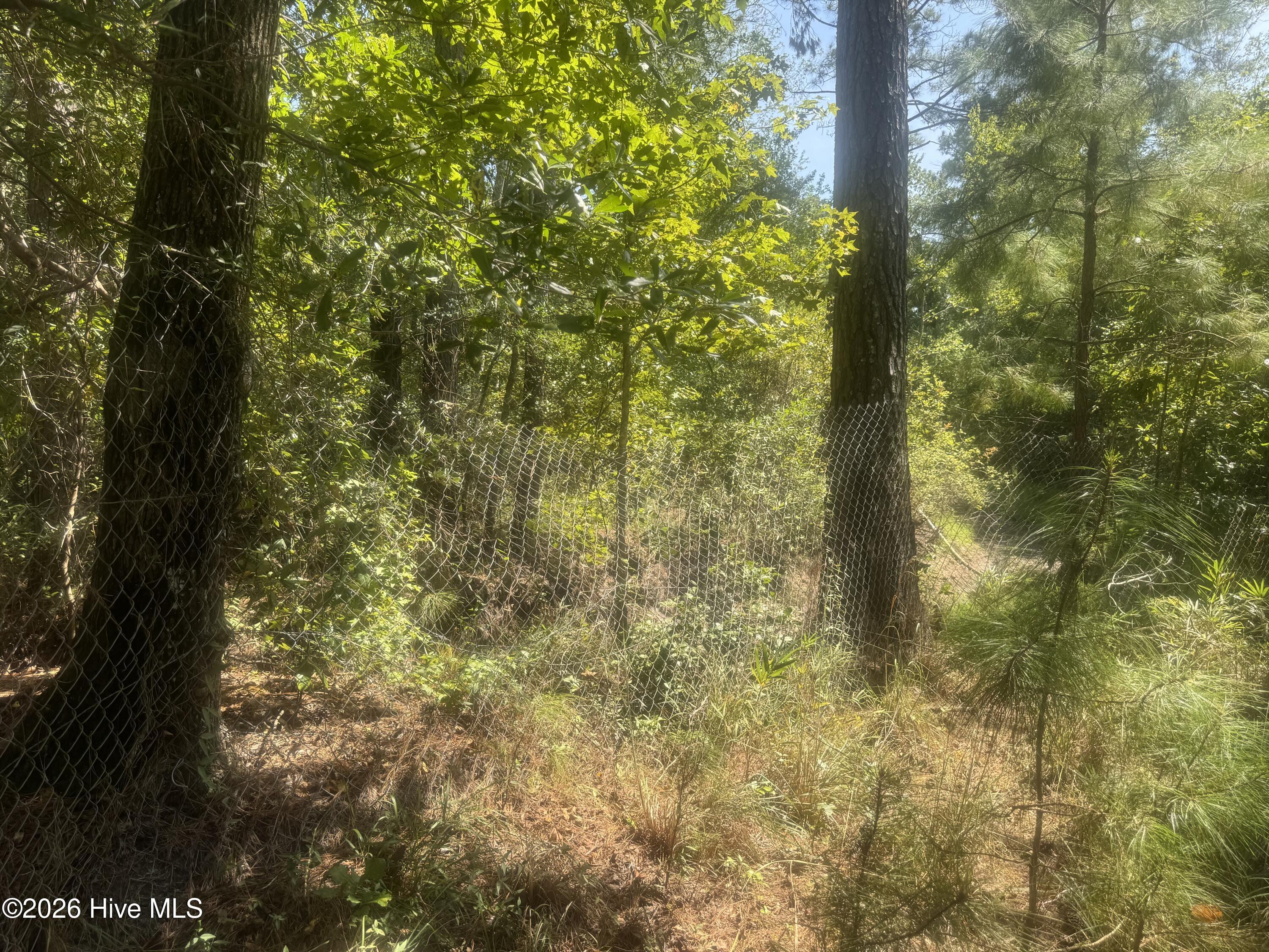 0 Bud Stephens Road Evergreen, NC 28438 - Photo 3 of 12 Gallery Image 3