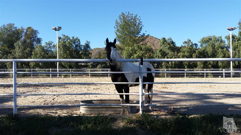33370 Trail Ranch Road Agua Dulce, CA 91390 - Photo 11 of 28 Additional Photo