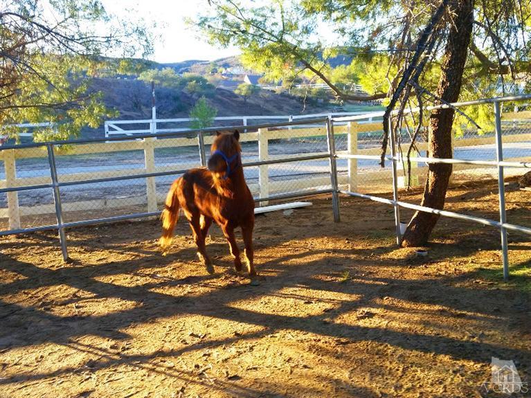 33370 Trail Ranch Road Agua Dulce, CA 91390 - Photo 17 of 28 Additional Photo