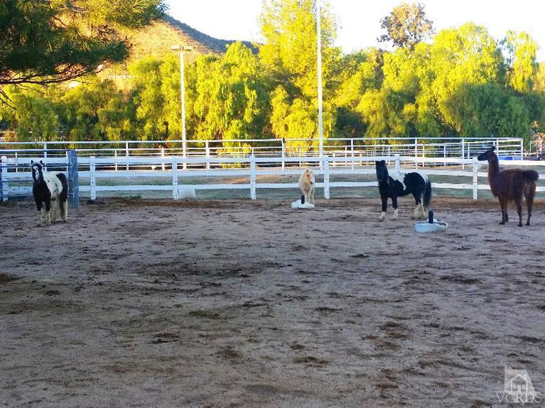 33370 Trail Ranch Road Agua Dulce, CA 91390 - Photo 23 of 28 Additional Photo