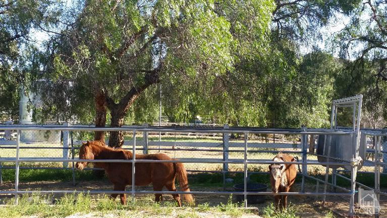 33370 Trail Ranch Road Agua Dulce, CA 91390 - Photo 5 of 28 Additional Photo