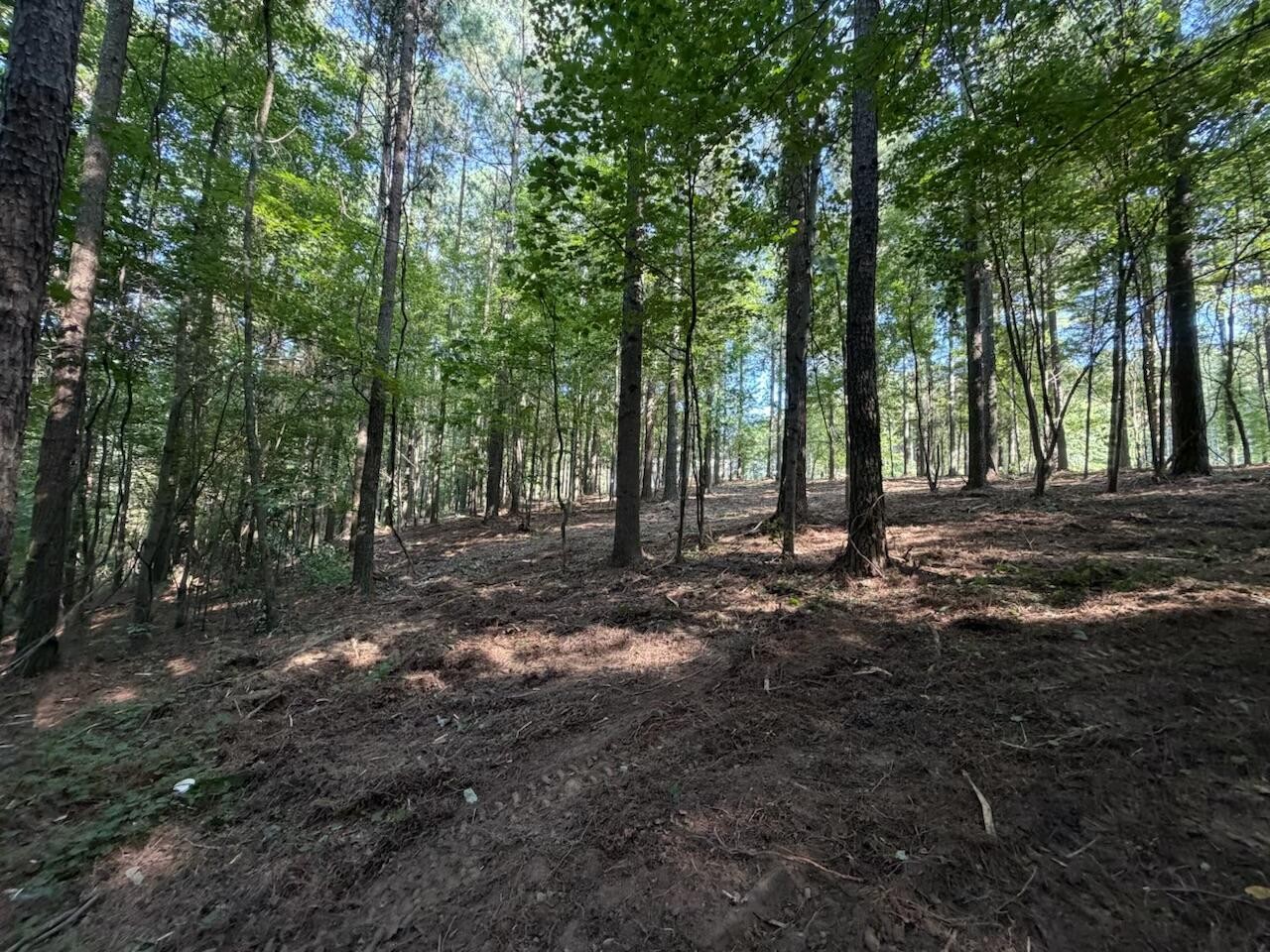 3715 Split Rail Way Guild, TN 37340 - Photo 16 of 44 Gallery Image 16